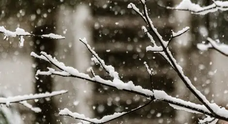 Студът не си отива - и днес ще прехвърча сняг Студът не си отива - и днес ще прехвърча сняг