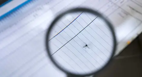 В Турция се появиха комарите носители на вируса Зика