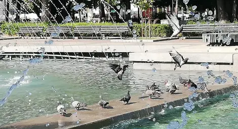 40 градуса счупиха 61-годишен рекорд, улиците в Русе опустяха