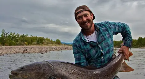 Звярът от река Дунав