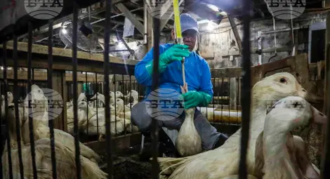 Снимка: БТА Снимка: БТА