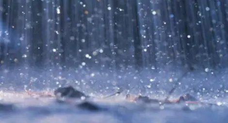 Жълт код в 5 области заради обилни валежи