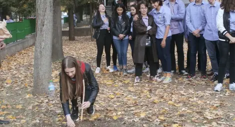 26 минзухара ще цъфнат напролет  в Звездата на Давид в Дойче шуле