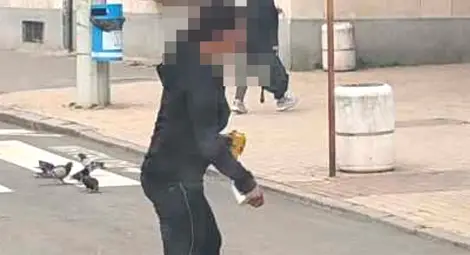 Случаят &bdquo;Васка&ldquo;: Гняв и отчаяние след серия нападения от психично болна на различни места в Русе