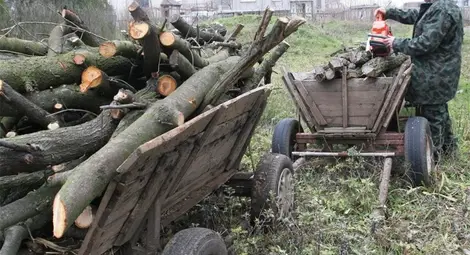 Горските конфискуваха  автомобил и две каруци