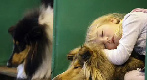 Швейцарско изследване доказва, че учениците трябва да започват по-късно училище