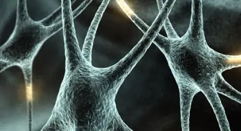 Всяка година нови 40 000 души се разболяват от рак!