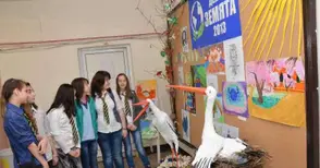 Двойка щъркели Марто и Апрелия посрещат учениците в Европейското