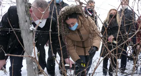 Нова мярка за винопроизводителите - за прeдставяне на продуктите в ЕС