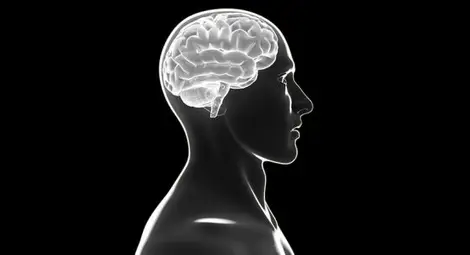 Генетична ли е интелигентността? Откриха 40 нови гена, свързани с IQ Генетична ли е интелигентността? Откриха 40 нови гена, свързани с IQ