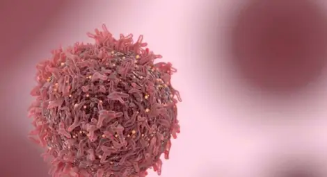 Изследване: Ракът е създаден от човека