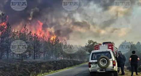 Снимка: БТА