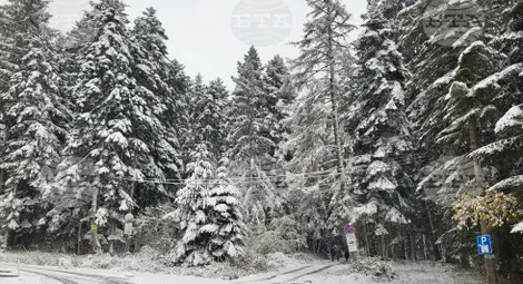 Снимка: БТА