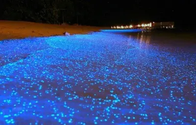 Сияйни пясъчни ивици се образуват на Малдивите /галерия/