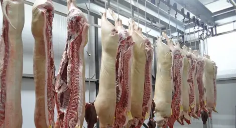 Рязкото поевтиняване на свинското месо не се отрази в магазините