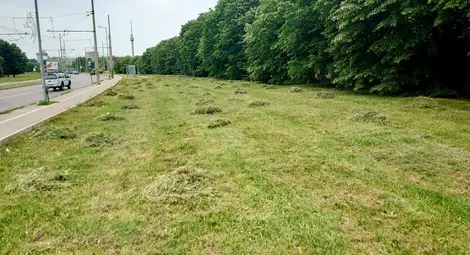 Продължават дейностите по косене на тревните площи в Русе Продължават дейностите по косене на тревните площи в Русе
