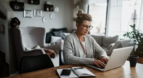 Парадокс - домакинствата с интернет с 4.4% по-малко в годината под знака &bdquo;онлайн&ldquo;