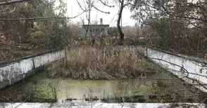 Питат кметицата на Тетово защо паркът в селото прилича на гора