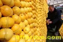 Тибетски лек пречиства кръвоносните съдове 