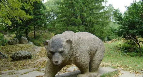 Намерете нови приятели на полянката до Мечката в парка Намерете нови приятели на полянката до Мечката в парка