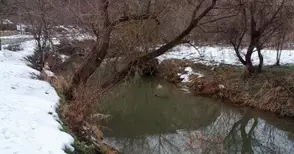 Двемогилчани вадят кръста  от Черни Лом край Острица