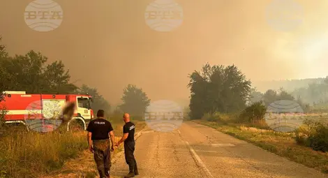 Снимка: БТА