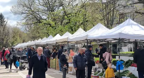 Снимка: БТА