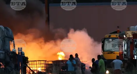 Снимка: БТА