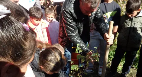 В Ценово засадиха фиданки за кампанията &bdquo;Бъди смел, бъди добър!&ldquo;