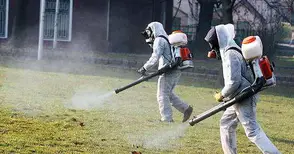 Започва пръскането срещу кърлежи в Русе