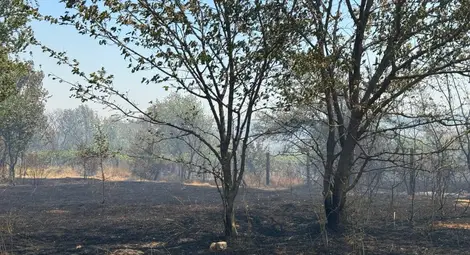 Пожарникари и доброволци спасиха от огън къщи в Николово, пламна и вилна зона до Русе Пожарникари и доброволци спасиха от огън къщи в Николово, пламна и вилна зона до Русе