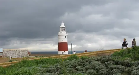 Макаци, пещери и безмитни магазини оживяват най-прочутата британска скала