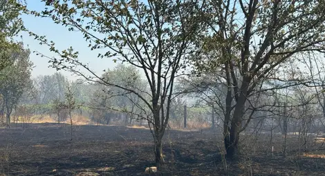 Критичната ситуация с пожара в Николово е овладяна, продължава гасенето в отделни участъци