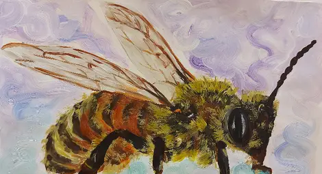 Приключи второто издание на екоарт конкурса за рисунка &bdquo;Приказният свят на природата&ldquo; на &bdquo;Дунавско сияние&ldquo;