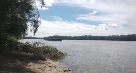 Утре ще се проведе най-мащабното учение в българската акватория&nbsp;  на река Дунав