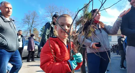 Никола ще засади череша и вишна в Мечка.  Снимка: Авторът