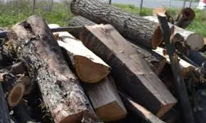 Пълен с крадени дърва фолксваген с номера на лада спрян в Моргуля Пълен с крадени дърва фолксваген с номера на лада спрян в Моргуля