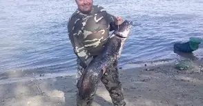 Трикратен шампион по риболов атакува нова титла с два сома над 20 килограма