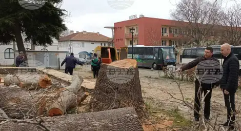 Снимка: БТА Снимка: БТА