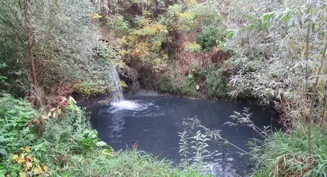 От тази тръба изтича непречистената отпадна вода на фирмата и оцветява Русенски Лом в синьо.                         Снимка: Архив