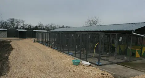 Ветеринарят д-р Людмил Спасов поe управлението на приюта за кучета