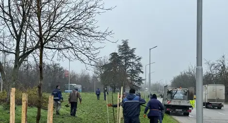 Кметът Пенчо Милков се включи в засаждането на 70 чинара по бул. &bdquo;България&ldquo;