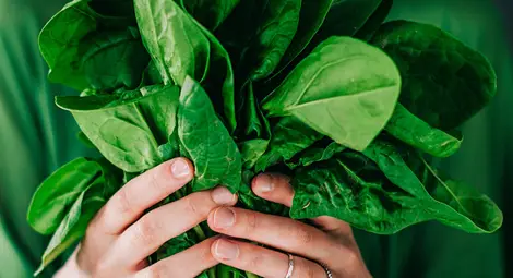 Изтеглят от пазара спанак, има съмнение, че е примесен с татул