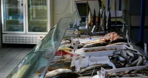 Запечатват рибен  магазин в Русе