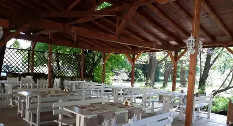 Управителят на култовата &bdquo;Баба Яга&ldquo; раздвоен между статива и скарата