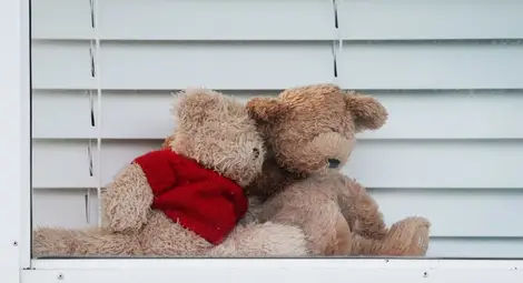 Гостите на немски ресторант пируват с мечки по масите