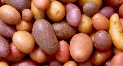 Руски учени създадоха весели картофи