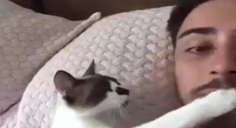 Целуващо стопанина си коте стана хит в интернет