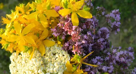 Детския център кани на празник за Еньовден Детския център кани на празник за Еньовден