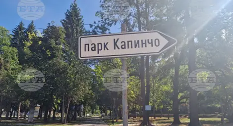 Снимка: БТА Снимка: БТА